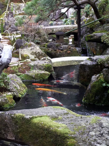 庭園を切り取る